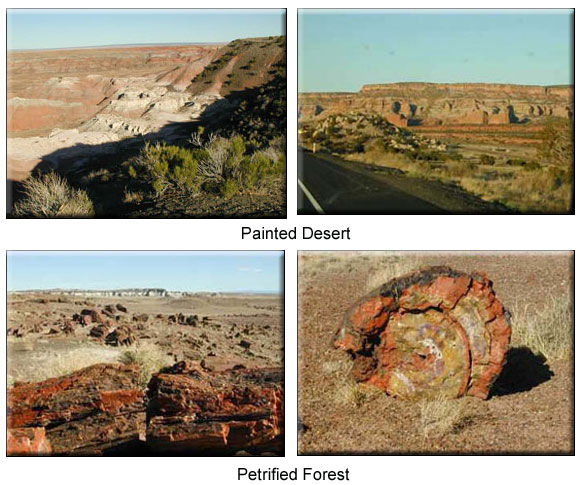 Petrified Forest