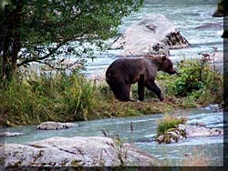 Chilkoot St Park