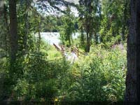 Walkway to River