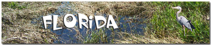 Florida