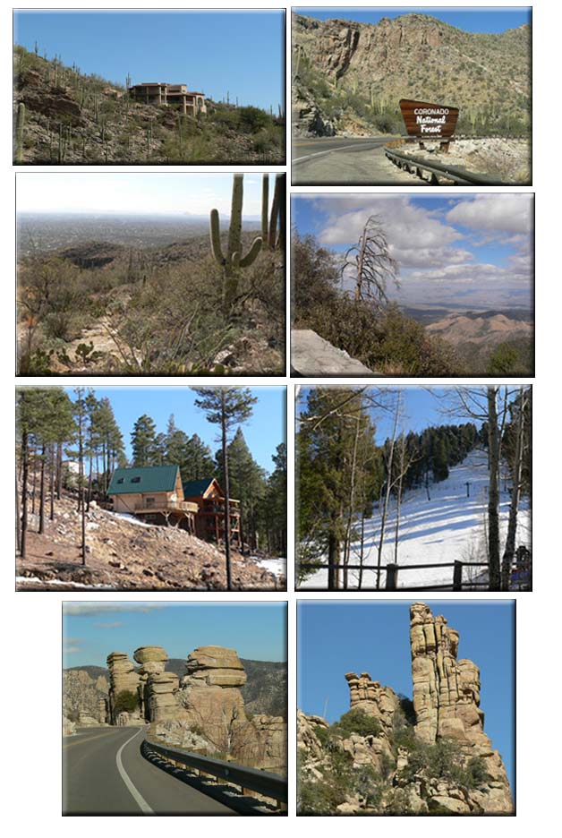Coronado National Forest