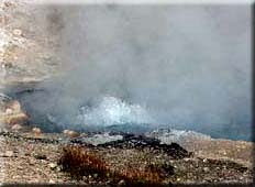 Click for Image Gallery