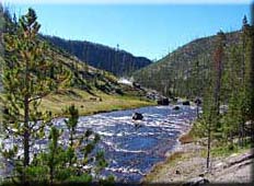 Click for Image Gallery